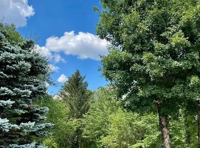 Отель La Panoramica 89 2*